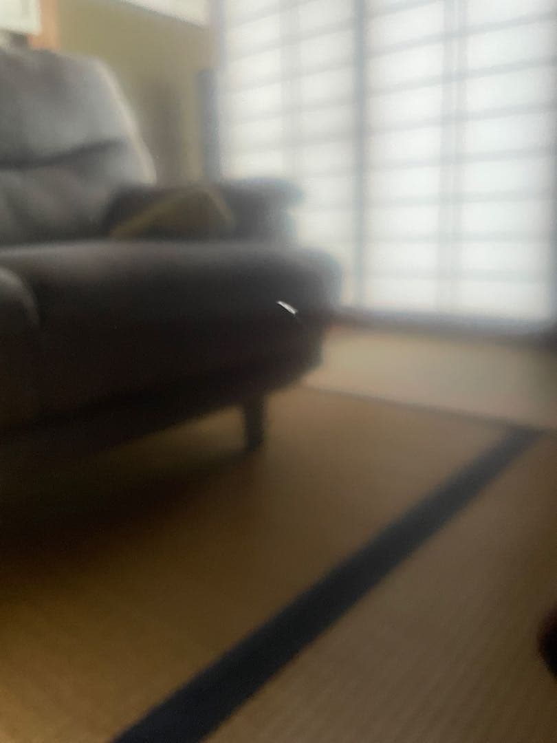 SONY BRAVIA KJ-55X8500E 55V型 4Kテレビ