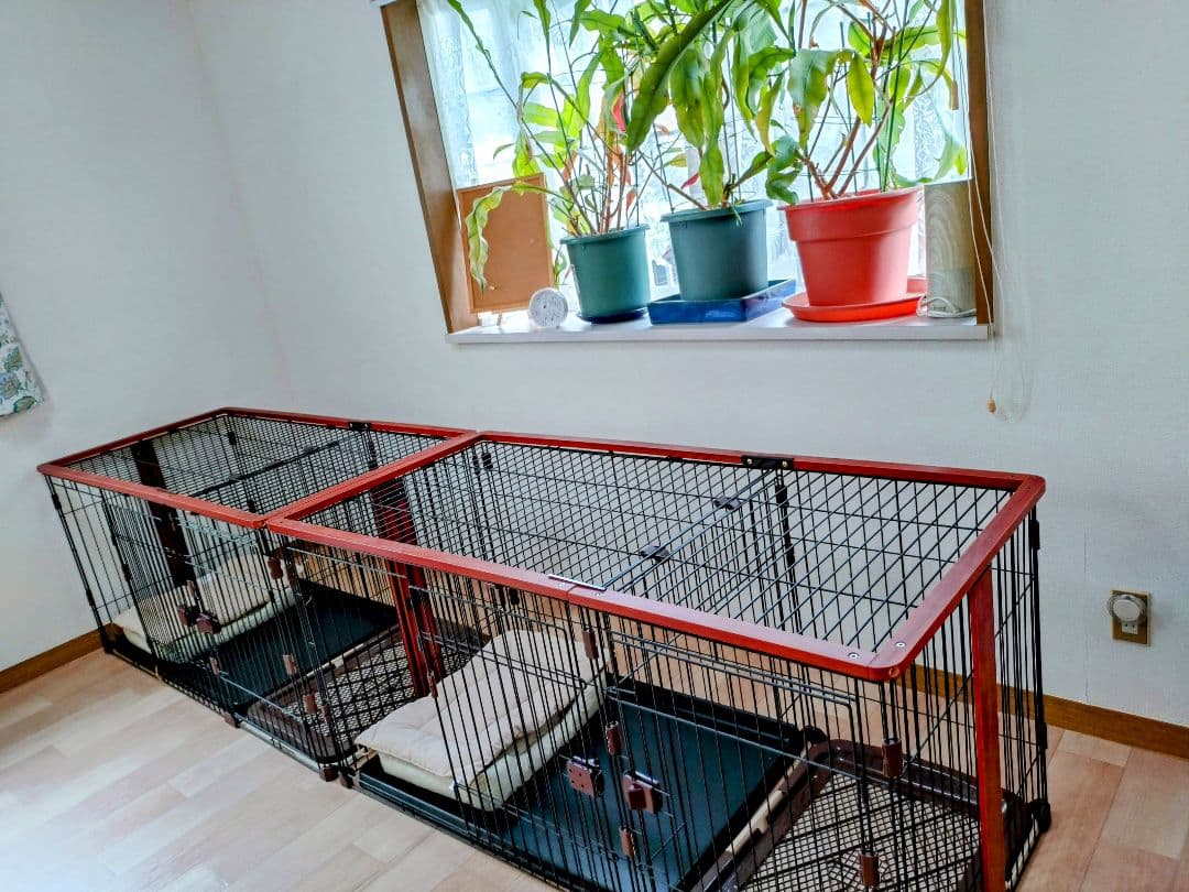 大型犬用金属製犬用ケージ