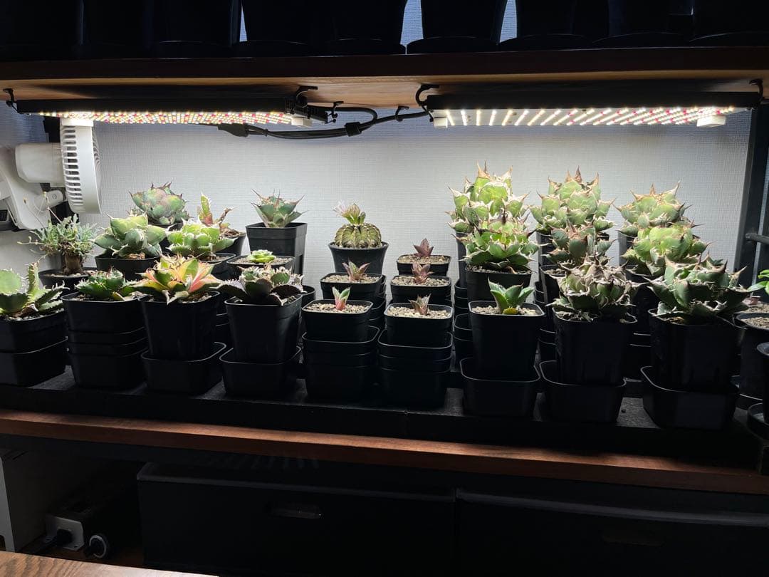 植物育成ライト　En-fun EF2000-PRO