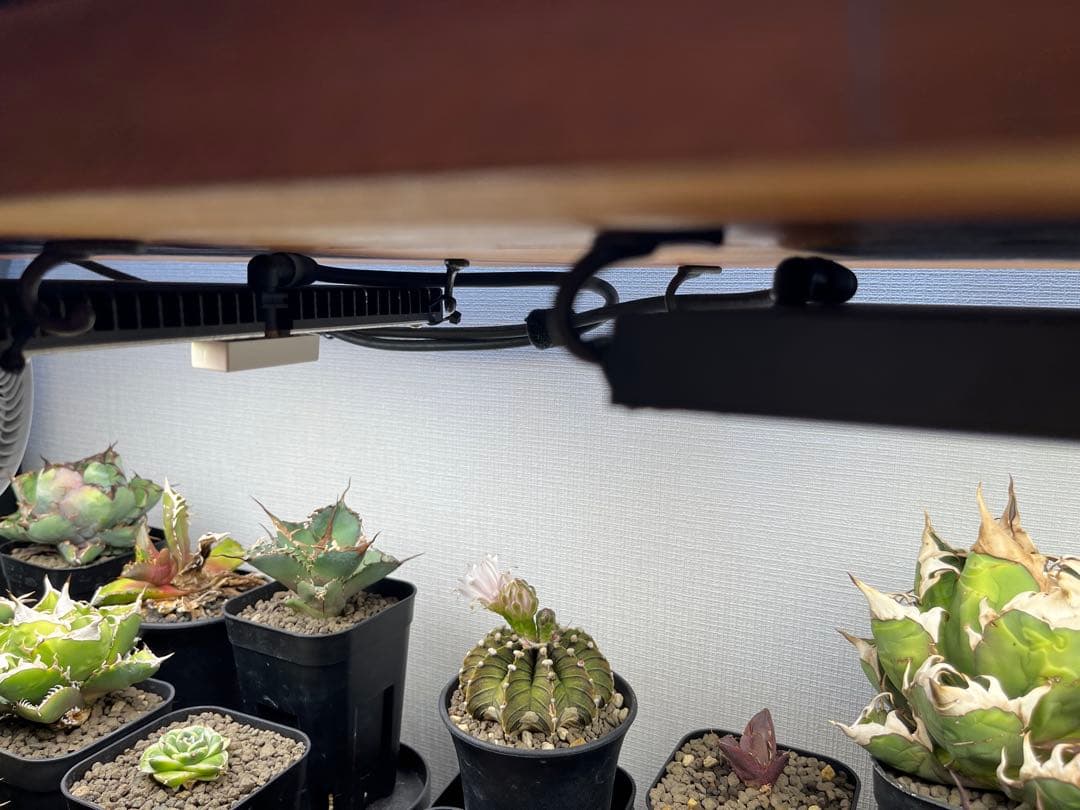 植物育成ライト　En-fun EF2000-PRO