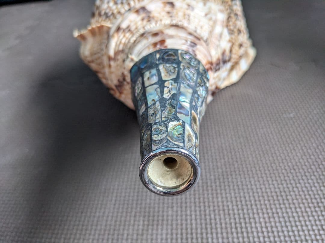 修験法螺貝　43cm　※購入前コメント必須