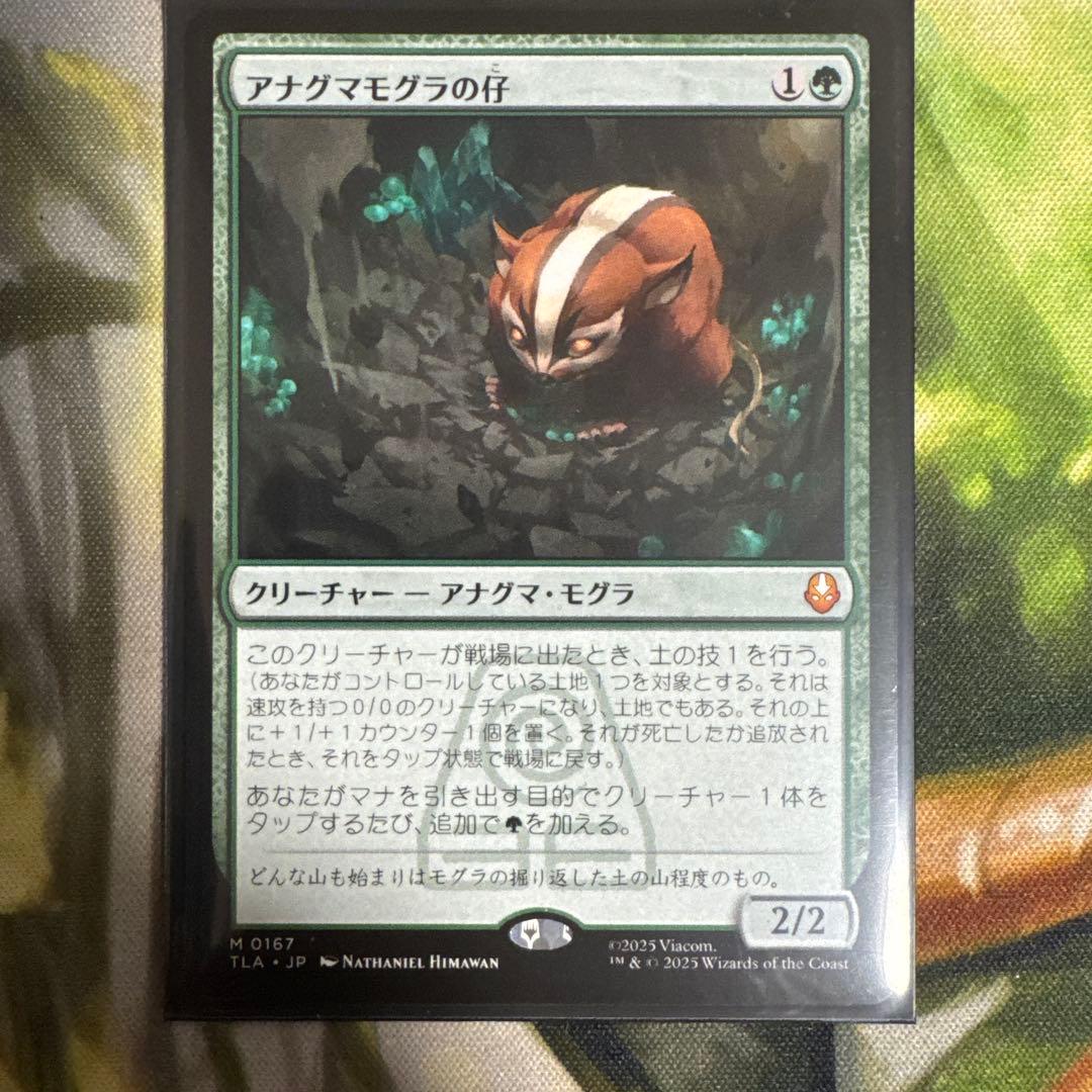 アナグマモグラの仔