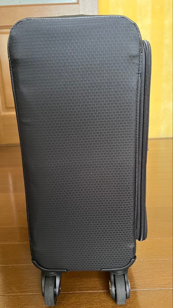 ☆週末限定お値下げ‼️【未使用】ACE PROTECA feenaST 18L