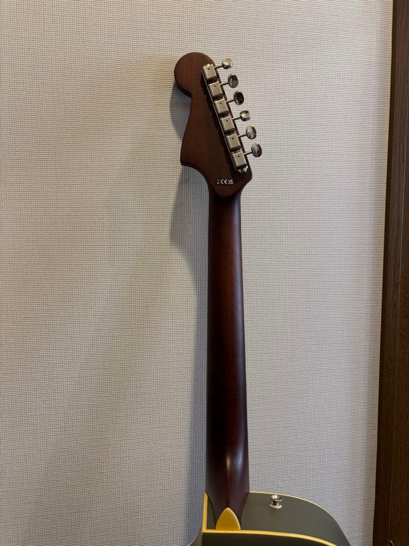 【値下げしました！】フェンダー エレアコ 他付属品