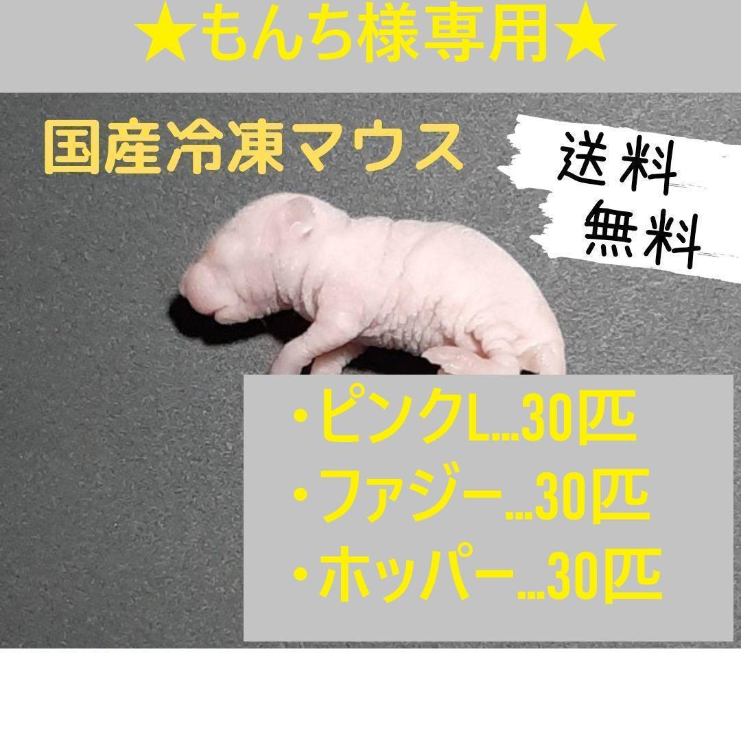★もんち★国産冷凍マウス ピンクL30匹ファジー30匹ホッパー30匹