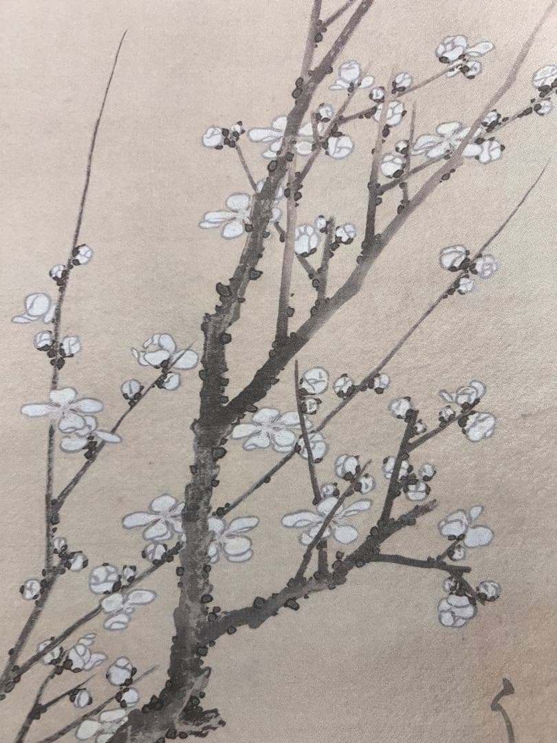 葛飾北斎『白梅図』 複製工芸 共箱 春 日本画 掛け軸 掛軸 茶掛 アート 中国