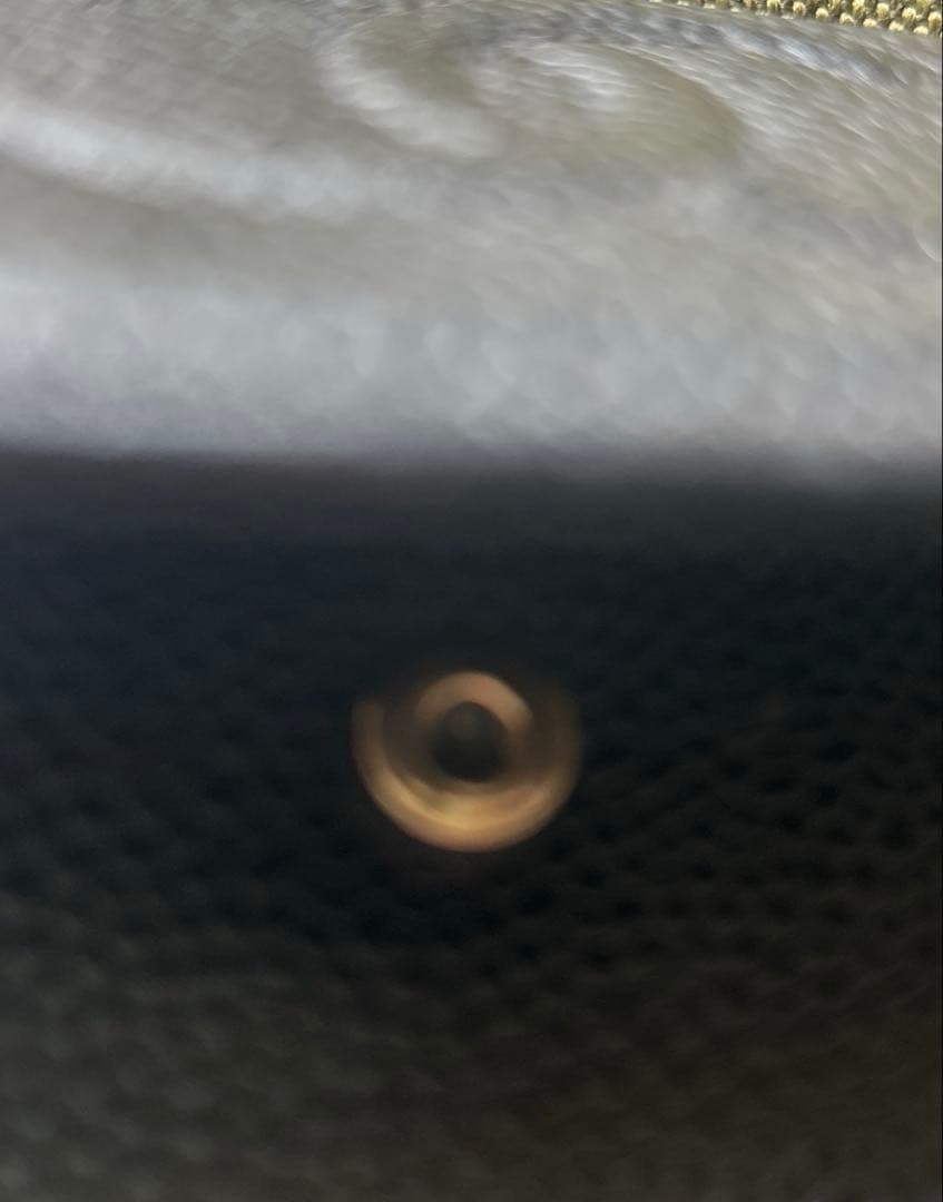 CHANEL/シャネル/キャビアスキン/三つ折り/Wホック/財布/ホック訳あり