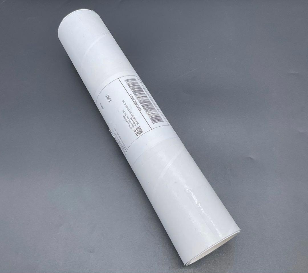 アンディ ウォーホル リトグラフ ビートルズ Beatles 世界 300枚限定