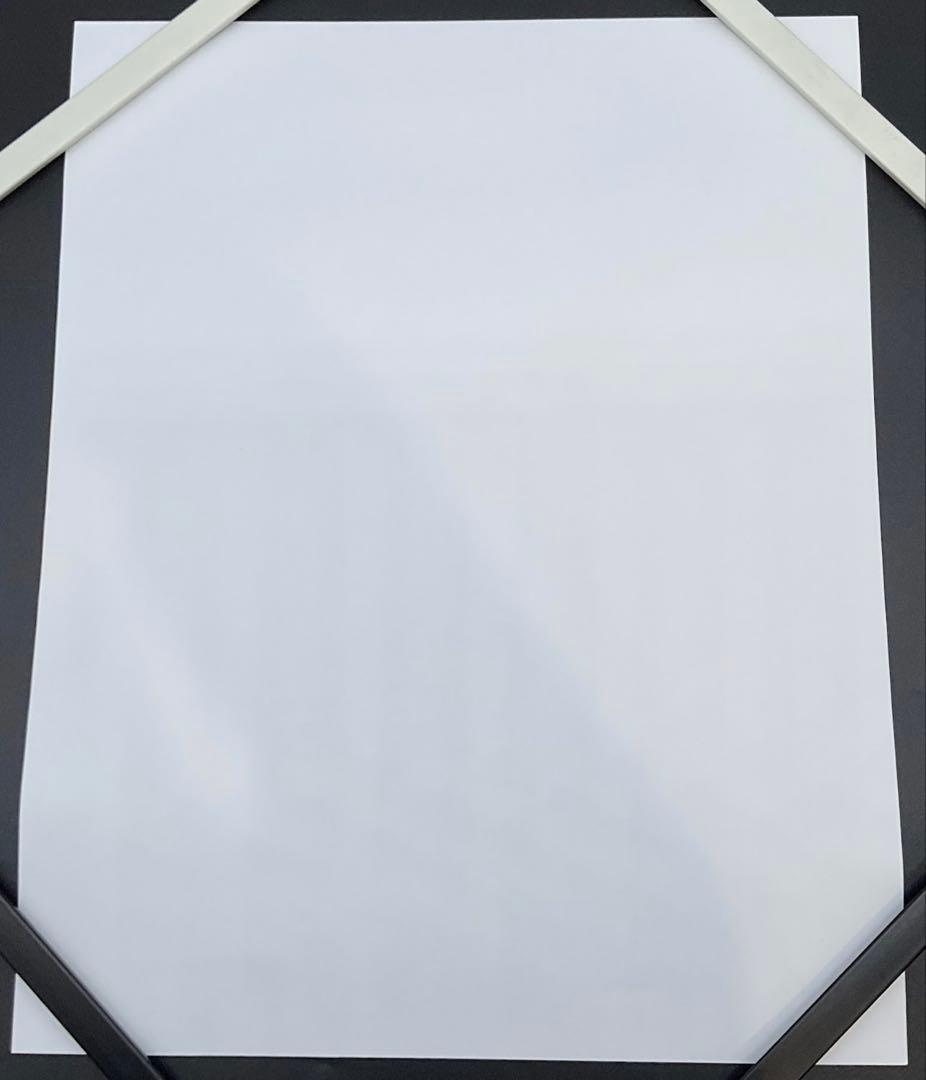 アンディ ウォーホル リトグラフ ビートルズ Beatles 世界 300枚限定