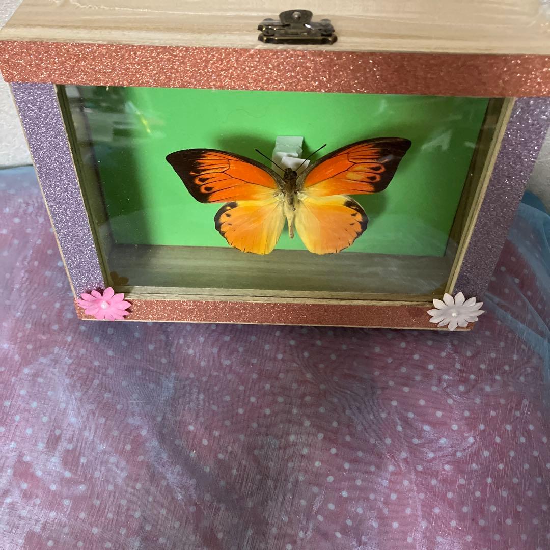 デタニツマベニチョウ