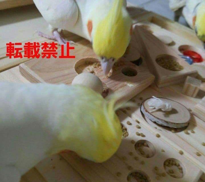 63　⭐　ミラーボードとフォージングトイセット⭐　インコ　バードトイ