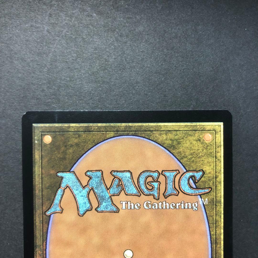 ロシア語　霧深い雨林　旧枠　モダンホライゾン2 MTG