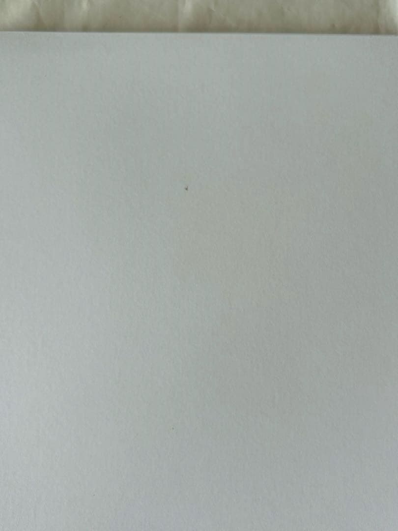 ジョンヒョン　Op.1 小品集　レコード　LP SHINee レア　ソロ