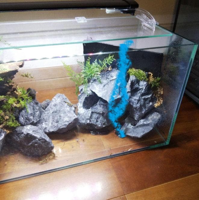 【受注生産】滝のあるアクアテラリウム　イモリウム　苔テラリウム　アクアテラリウム