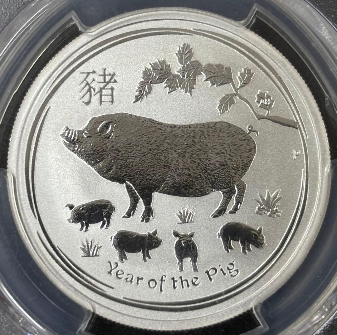 2019年 オーストラリア 亥年 50セント 銀貨　TOPPOP