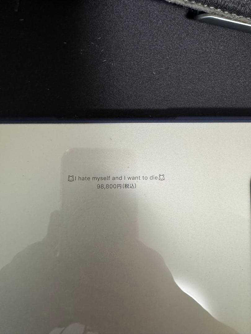 iPad本体 Ipad air m2