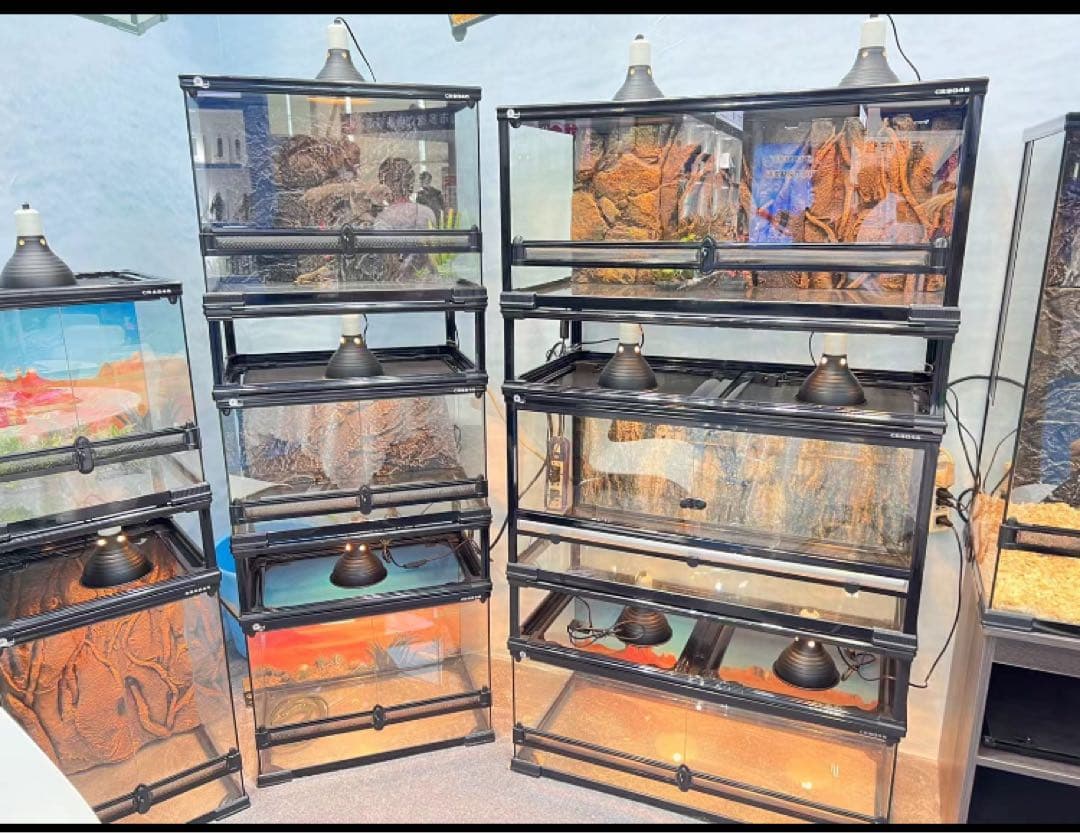 自社製組み立て式爬虫類両生類ケージガラス飼育ケージ120x60x120cm引取り
