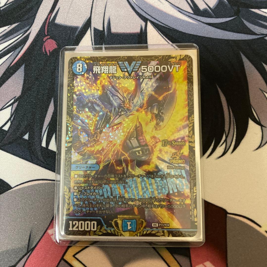 飛翔龍 5000VT プロ