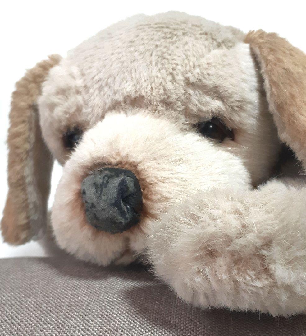 【美品】ジョックライン　JOCKLINE社　当時物　イタリア製　犬　ゴールデン