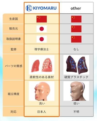 AKIYOMARU ソフトな質感で15分解できる卓上サイズの人体解剖模型 人体模