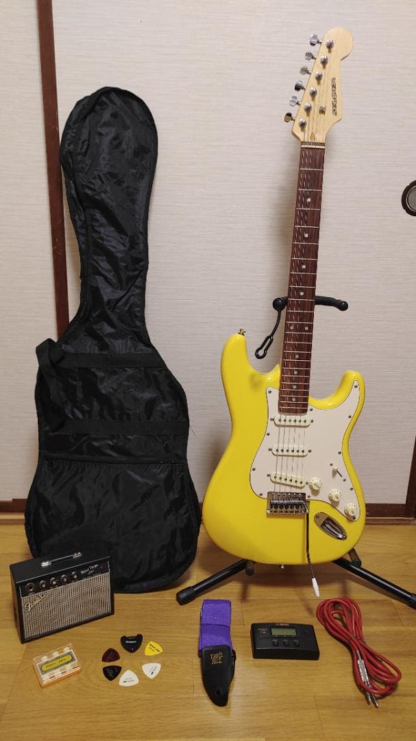 Selder エレキギター (9点セット)