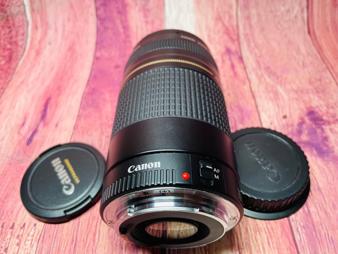 CANON キャノン EF 75-300mm 1:4-5.6 Ⅱ