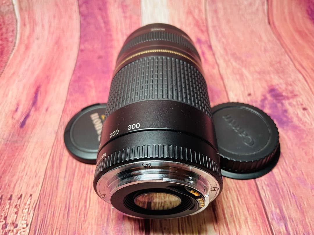 CANON キャノン EF 75-300mm 1:4-5.6 Ⅱ