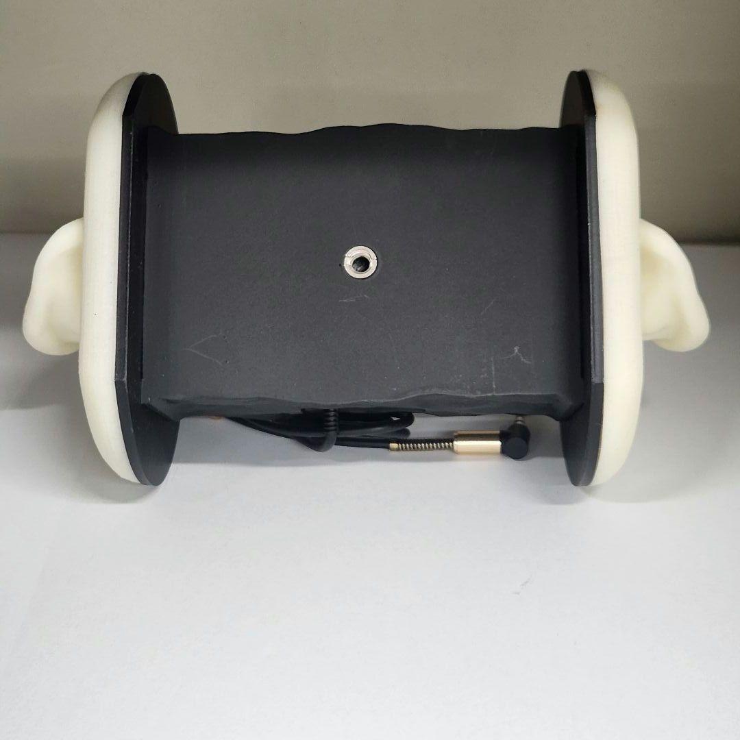 DuoPop2.0 バイノーラルマイク　ASMR 録音　シリコン擬似耳 高感度