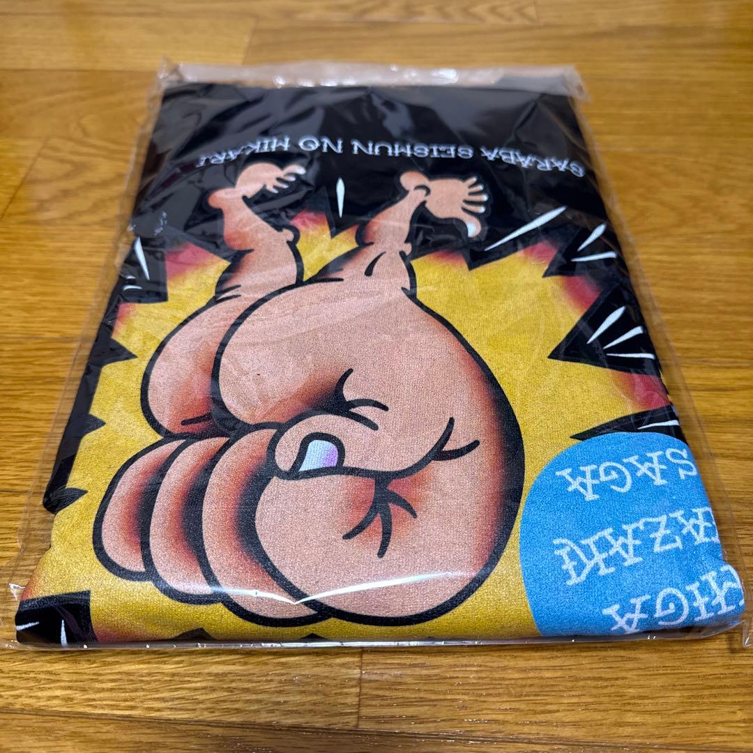 さらば青春の光　未使用　ステゴロツアー2024