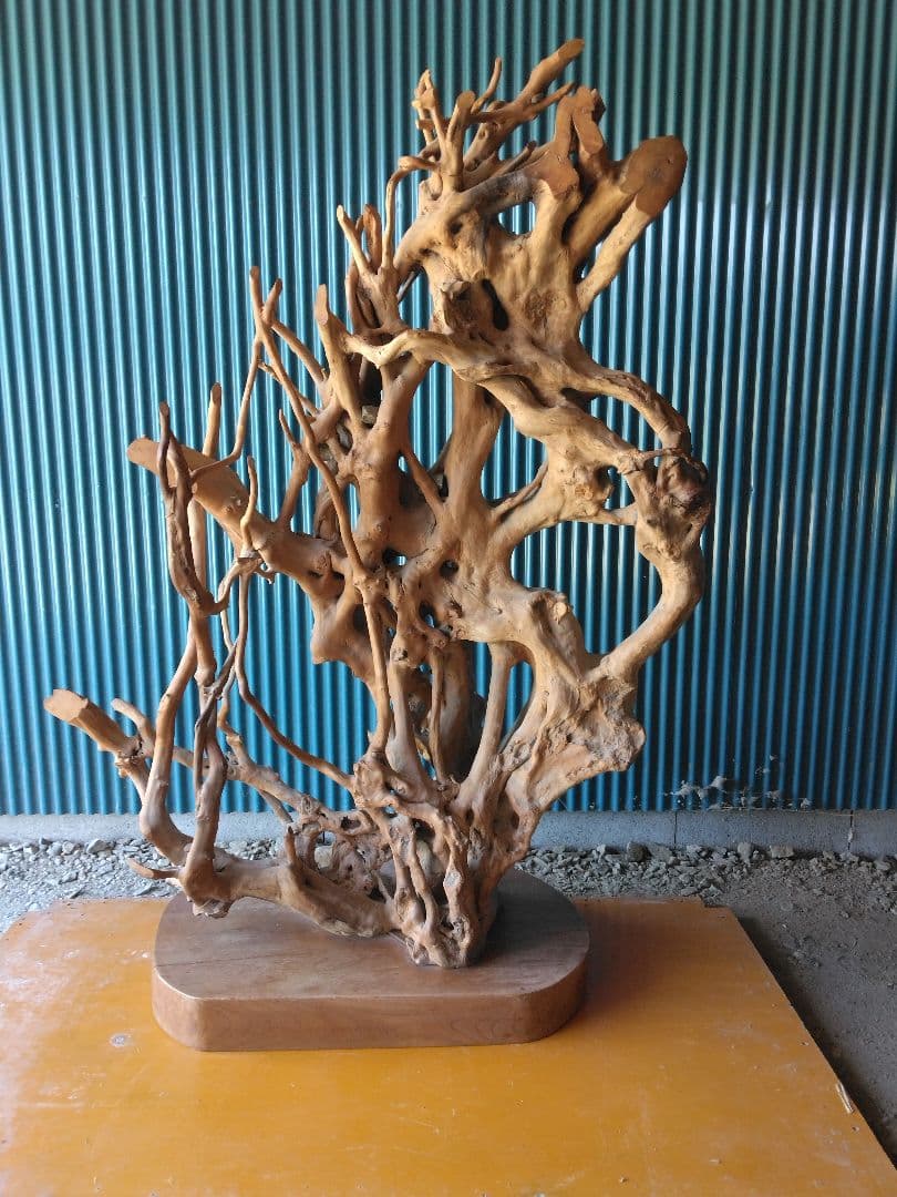 置物　衝立　オブジェ　天然木　木の根　 引き取り限定