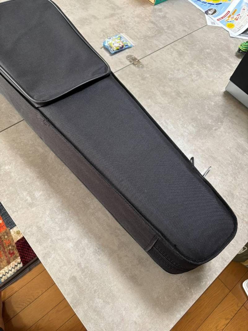 4/4CEVN エレクトリックバイオリンスタイル1　Cecilio セシリオ