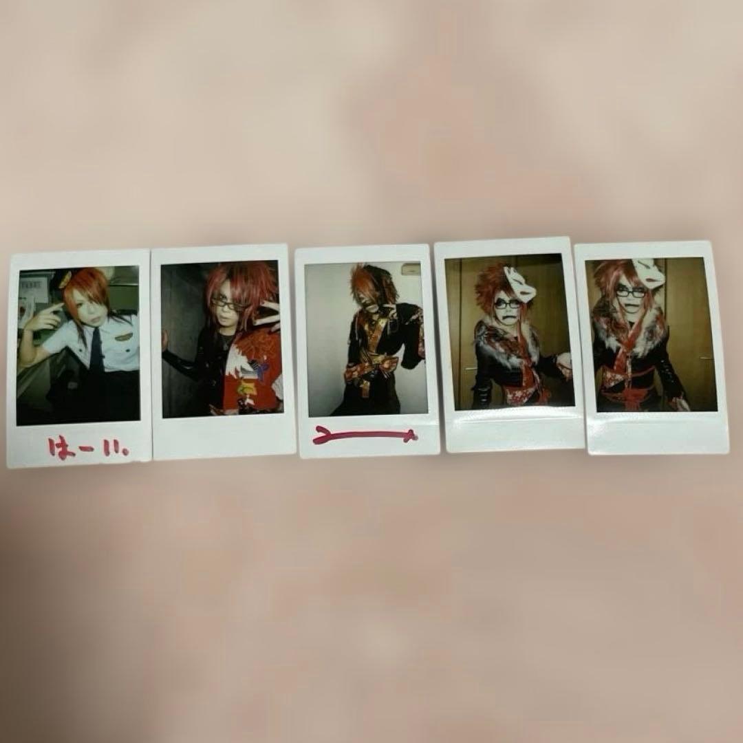 己龍 過去チェキセット