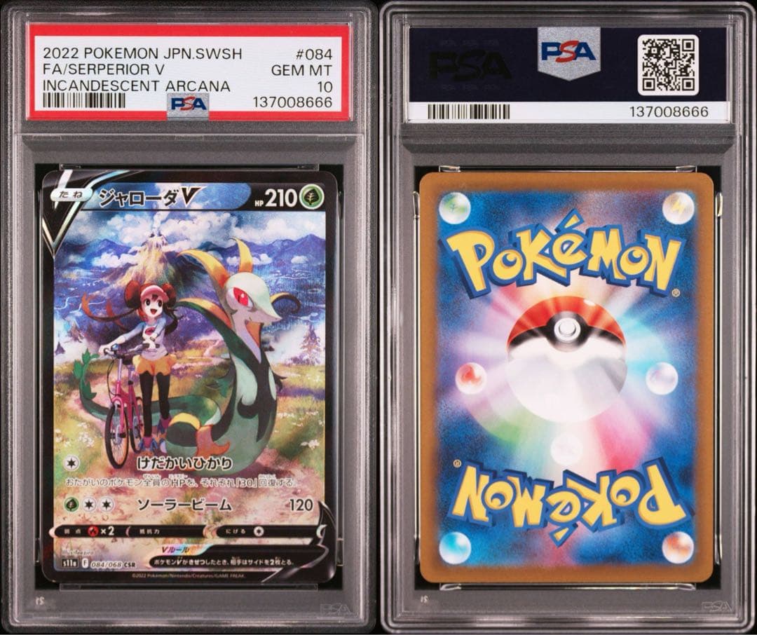 【PSA10】ポケモンカード　ジャローダV CSR 白熱のアルカナ　メイ