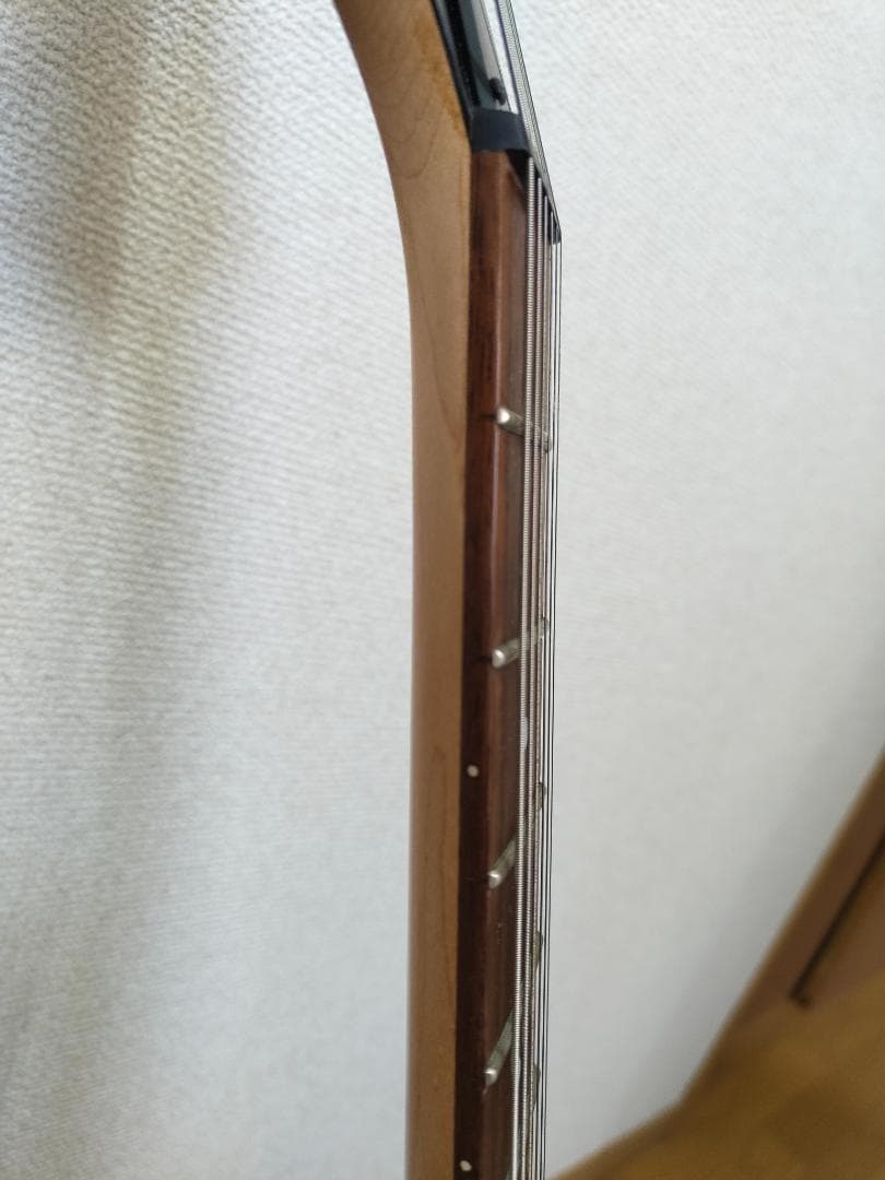 Ibanez　RG421mol　マホガニーオイル