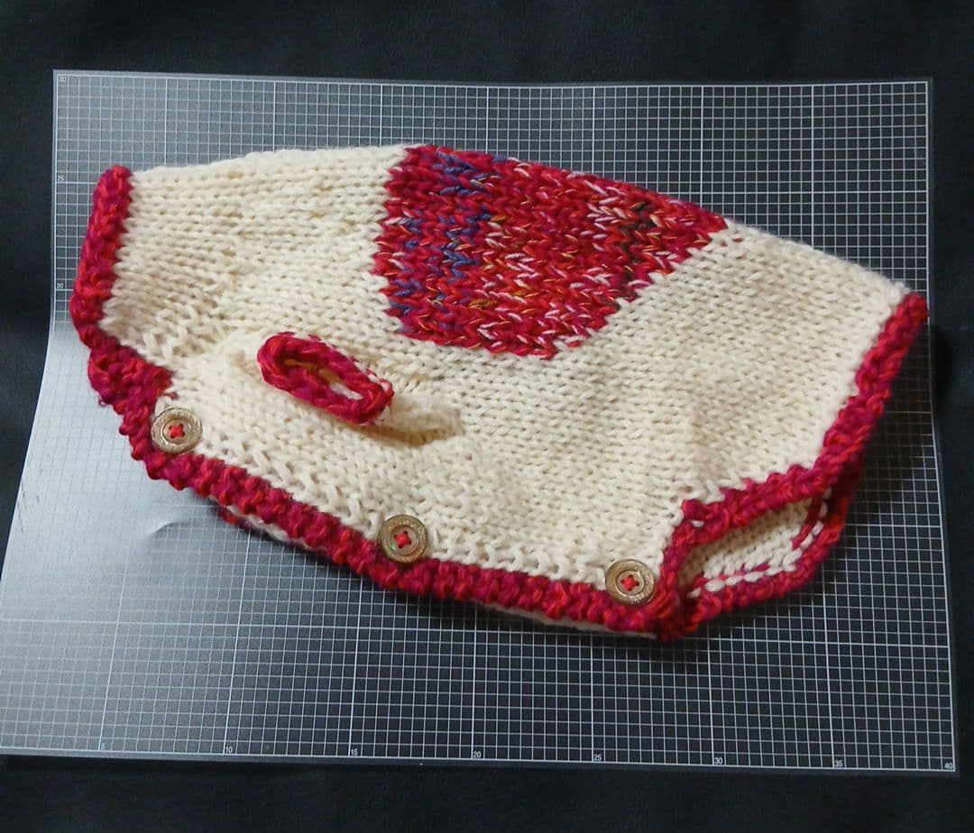 【よっちんさん専用】犬服 犬用 手編み 「ビック❤カウチン」