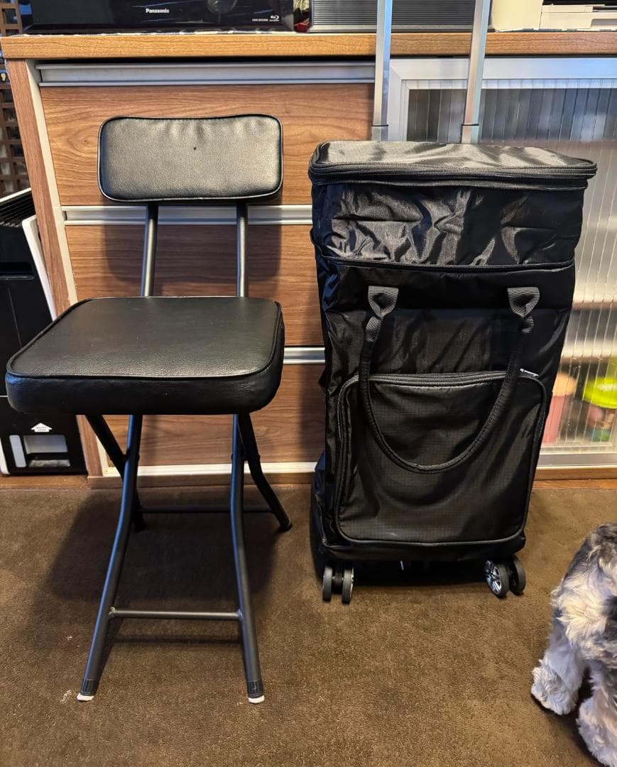 ショッピングカート 保冷機能付き 買い物カート 保冷バック 5輪 お買い物キャA