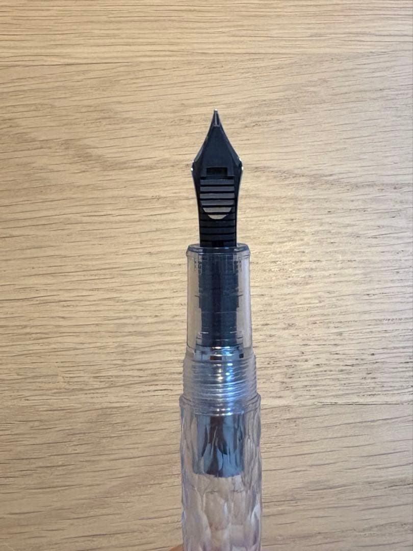 限定品　プラチナ万年筆　センチュリー　鱗雲　中字