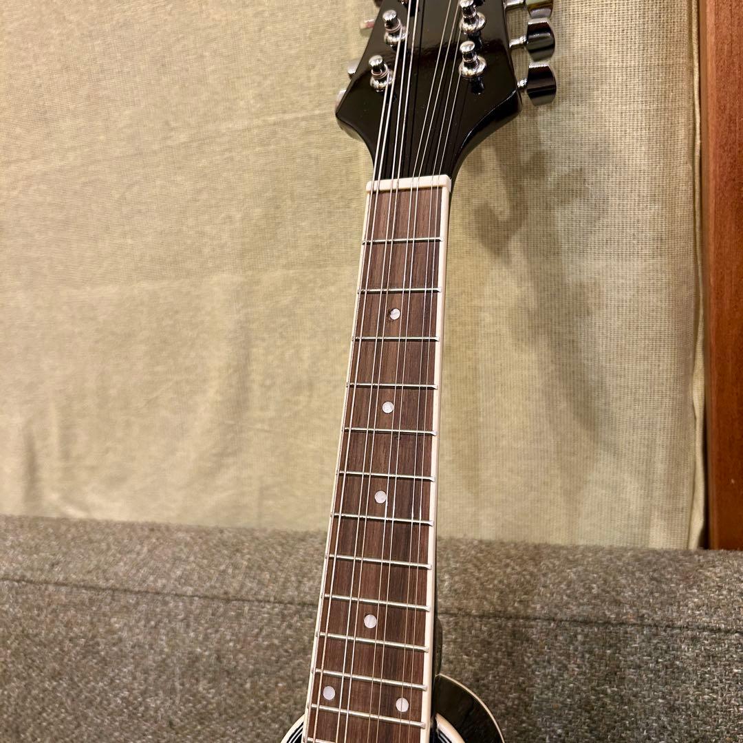 美品　フラットマンドリン　IRIN セット