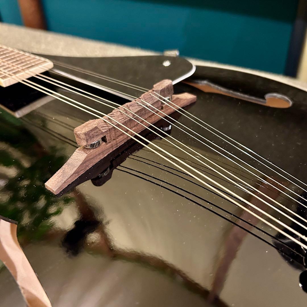 美品　フラットマンドリン　IRIN セット