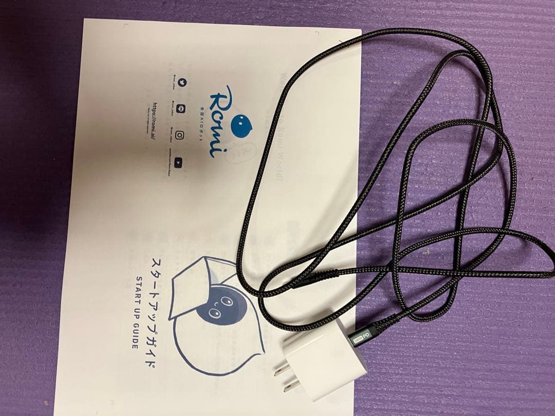 Romi ロミィ 会話AIロボット ROMI-P02