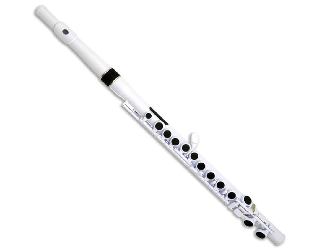 NUVO スチューデントフルート [専用セミハードケース付き]