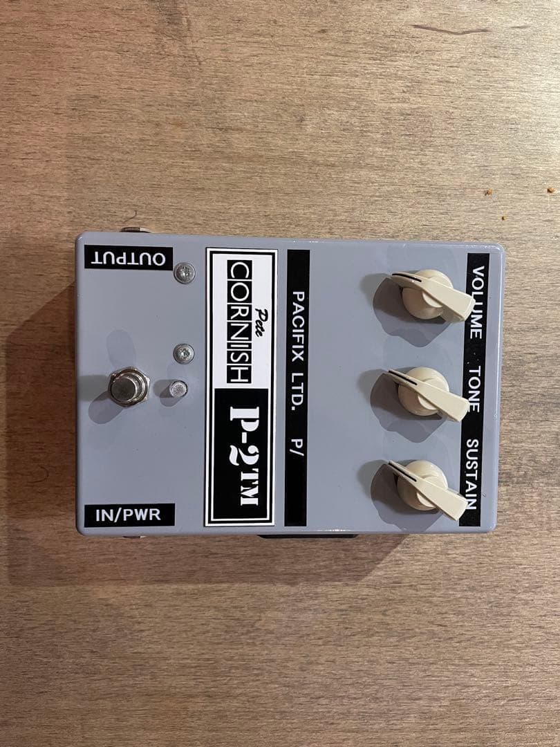 ギター PeteCORNISH P-2