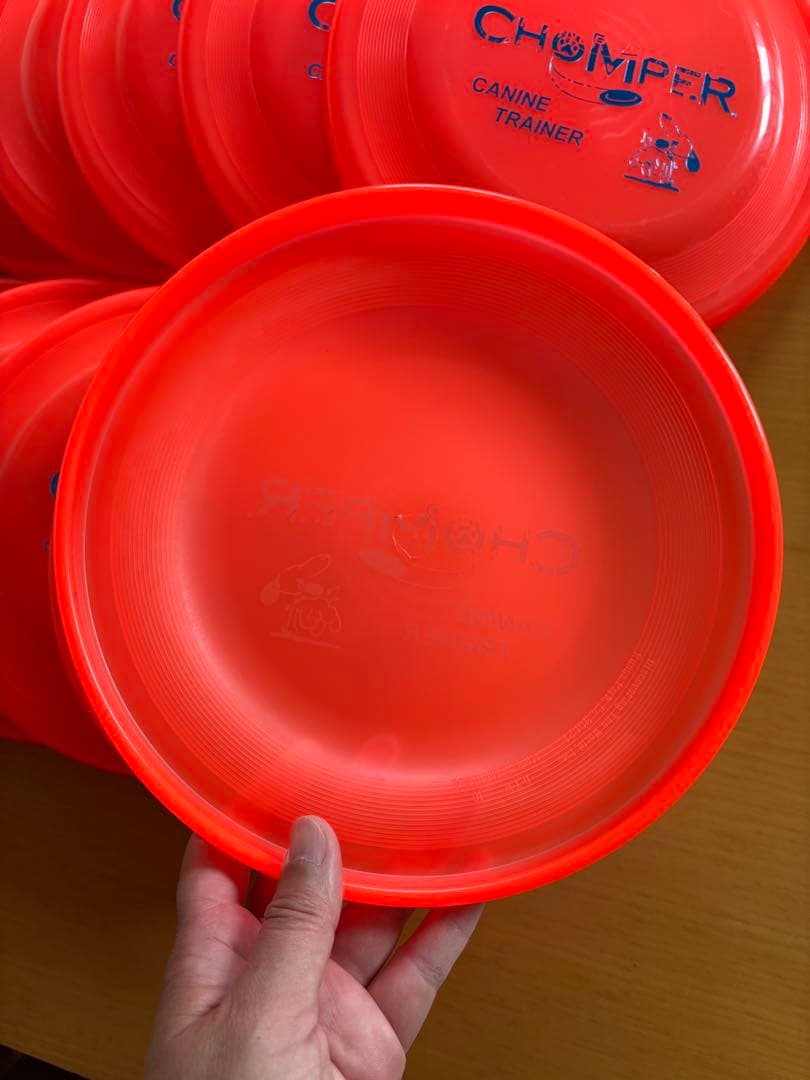 【新品未使用】犬用 ディスク ミスプリント 夏用 オレンジ 20枚