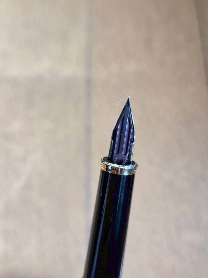 パイロット 70周年記念 万年筆ケース