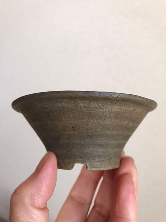 盆栽鉢　時代ミニ盆栽鉢小品常滑名工盆栽鉢服部3点山野草サボテン多肉植物