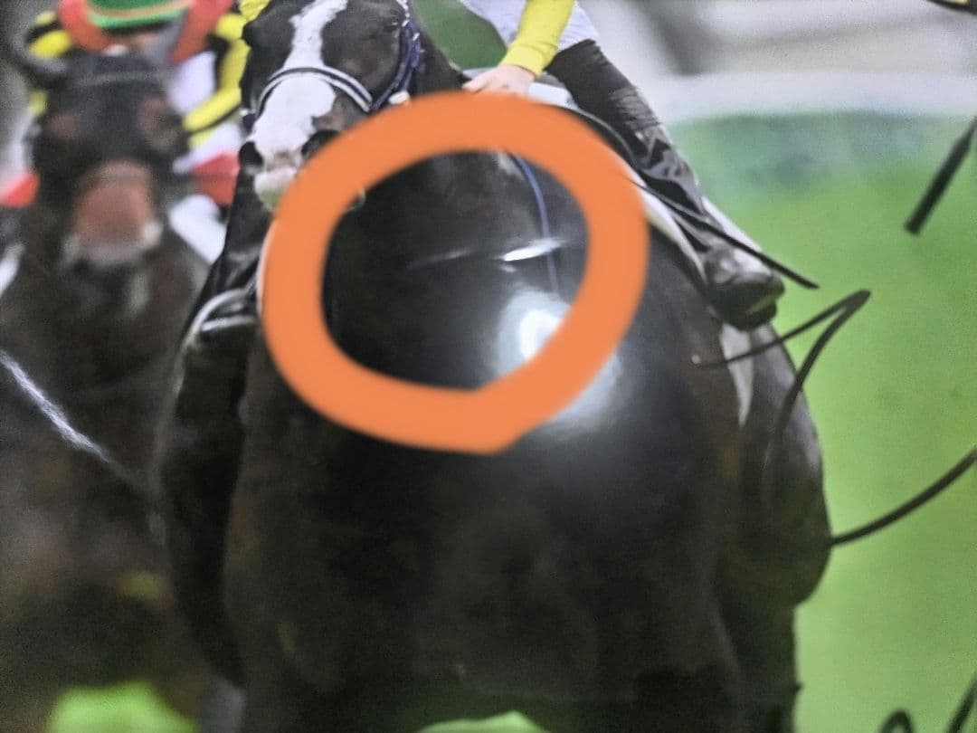 【送料込み】フォロワー様SALE☆クロワデュノール　北村友一　サイン入りポスター