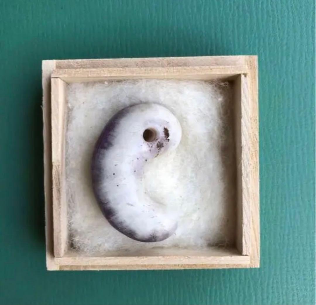 勾玉　（i）　箱付き