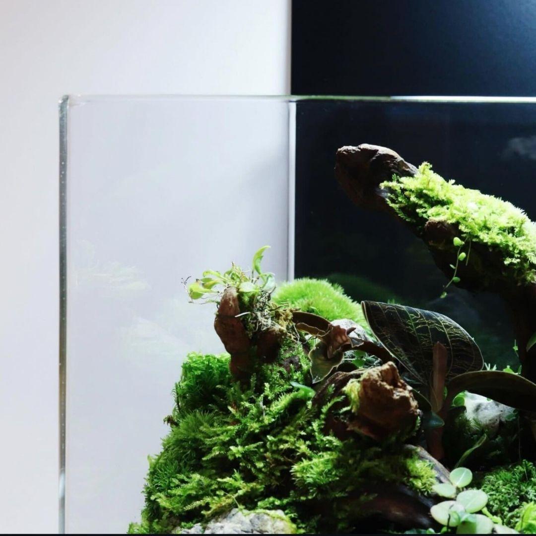 ADA LAB 限定 DOOA マグネットライトスタンド ネオグラスエア