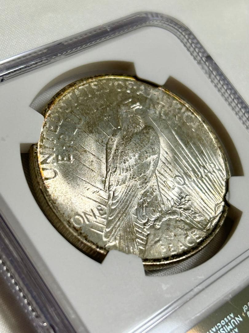 1923年 アメリカ ピースダラー 銀貨 NGC MS64 アンティーク