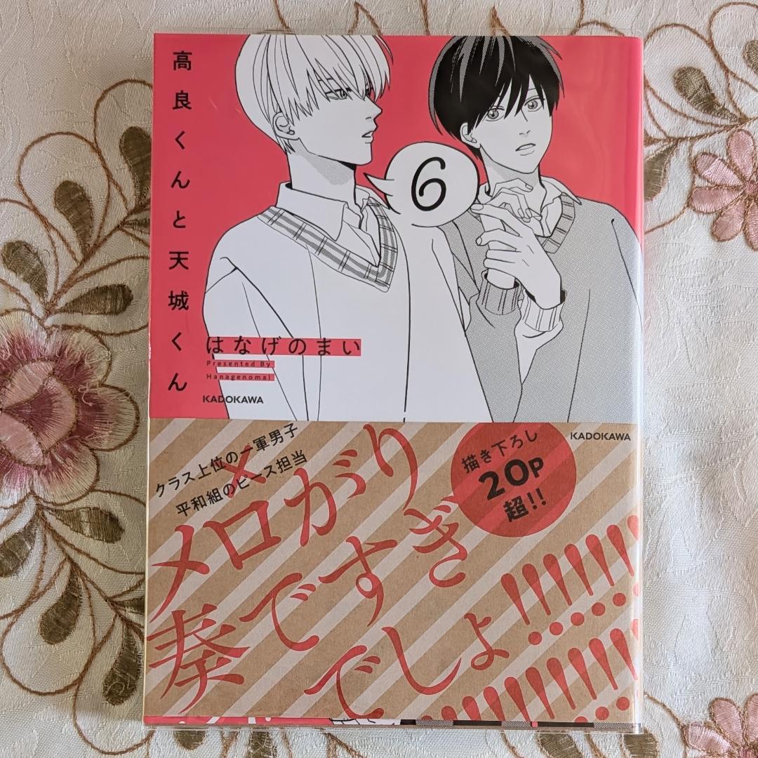 小冊子 アクスタ5点 CD特典 くじメイト 高良くんと天城くん5～6 兄貴の友達